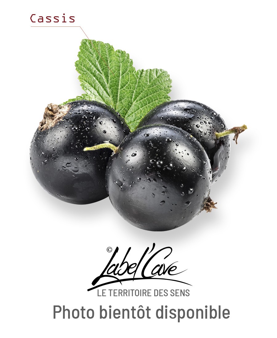 Eau-de-vie - VIEILLE PRUNE...